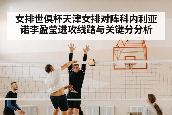 volleyball net block defense